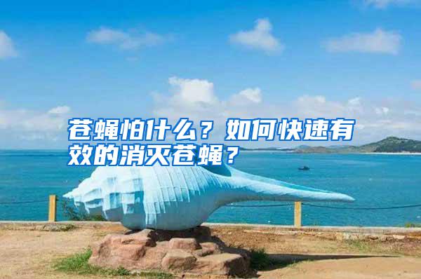蒼蠅怕什么？如何快速有效的消滅蒼蠅？