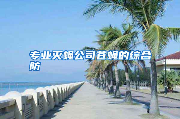 專(zhuān)業(yè)滅蠅公司蒼蠅的綜合防