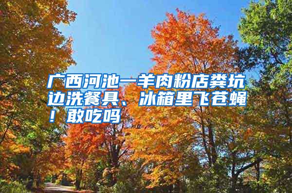 廣西河池一羊肉粉店糞坑邊洗餐具、冰箱里飛蒼蠅！敢吃嗎