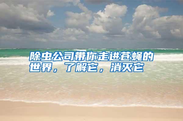 除蟲公司帶你走進(jìn)蒼蠅的世界，了解它，消滅它