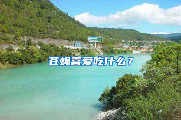 蒼蠅喜愛吃什么？