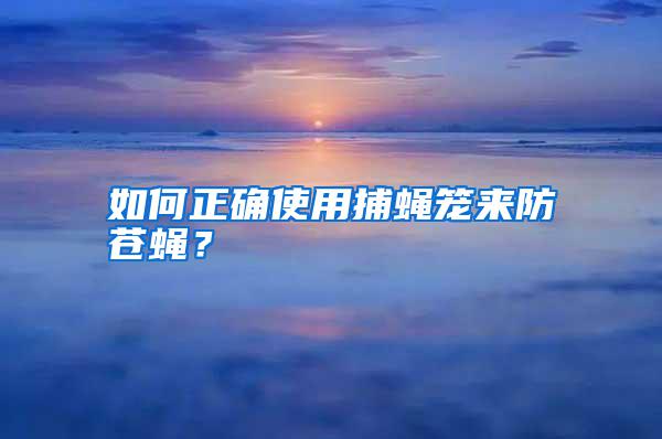 如何正確使用捕蠅籠來防蒼蠅？