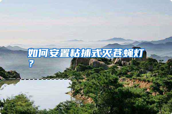 如何安置粘捕式滅蒼蠅燈？