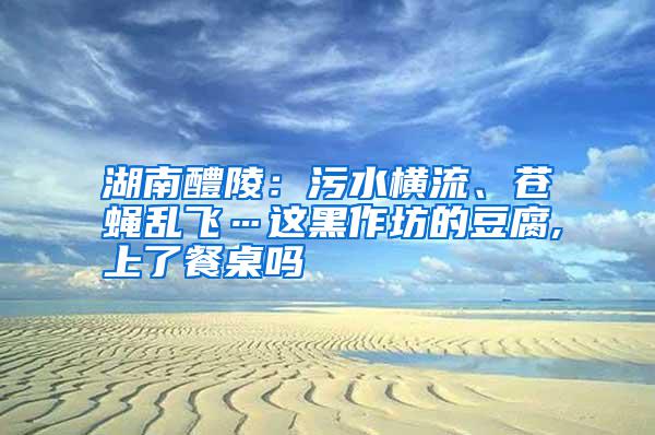 湖南醴陵：污水橫流、蒼蠅亂飛…這黑作坊的豆腐,上了餐桌嗎