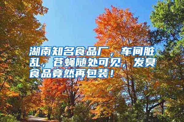 湖南知名食品廠，車間臟亂，蒼蠅隨處可見，發臭食品竟然再包裝！