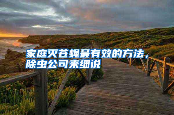 家庭滅蒼蠅最有效的方法，除蟲公司來細說
