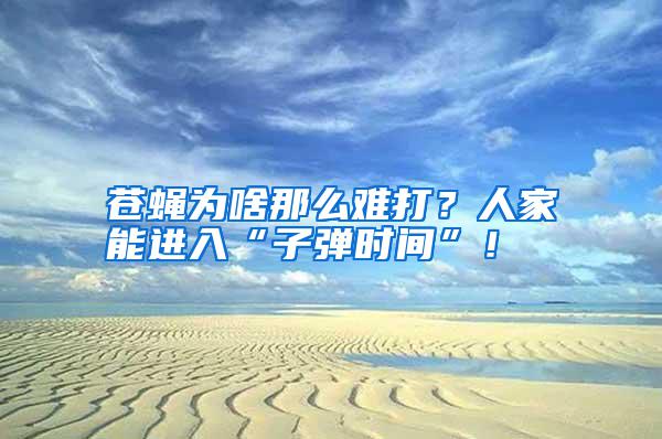 蒼蠅為啥那么難打？人家能進(jìn)入“子彈時(shí)間”！