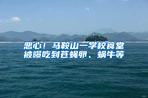 惡心！馬鞍山一學(xué)校食堂被曝吃到蒼蠅卵、蝸牛等
