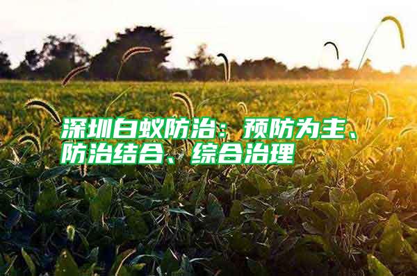 深圳白蟻防治：預防為主、防治結合、綜合治理