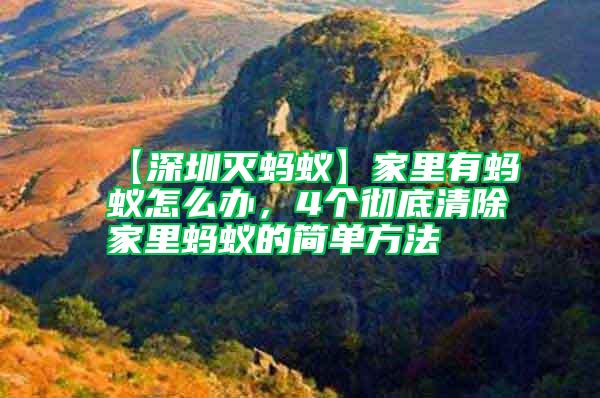 【深圳滅螞蟻】家里有螞蟻怎么辦，4個徹底清除家里螞蟻的簡單方法