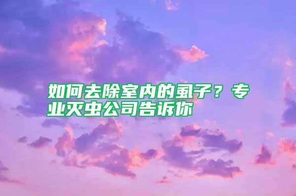 如何去除室內的虱子？專業滅蟲公司告訴你