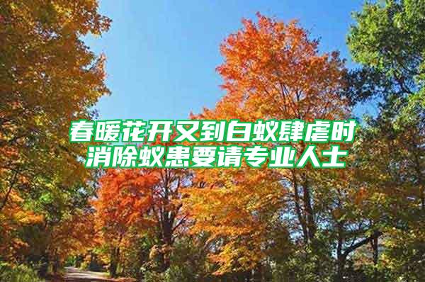 春暖花開(kāi)又到白蟻肆虐時(shí) 消除蟻患要請(qǐng)專業(yè)人士