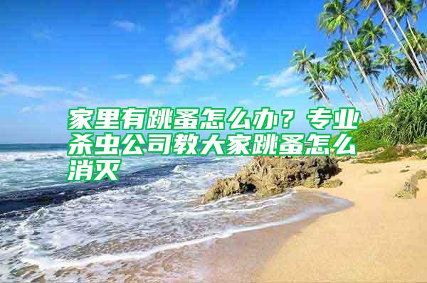 家里有跳蚤怎么辦？專業(yè)殺蟲公司教大家跳蚤怎么消滅