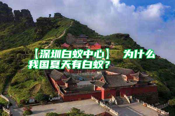 【深圳白蟻中心】 為什么我國夏天有白蟻？
