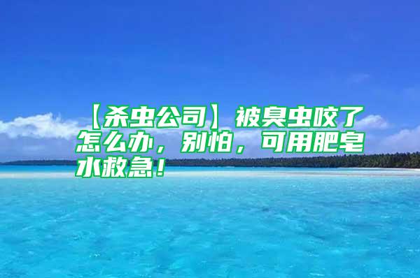 【殺蟲公司】被臭蟲咬了怎么辦，別怕，可用肥皂水救急！