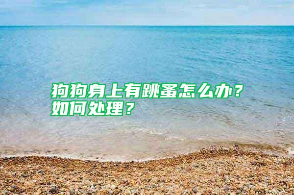 狗狗身上有跳蚤怎么辦？如何處理？