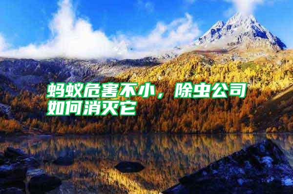 螞蟻危害不小，除蟲(chóng)公司如何消滅它