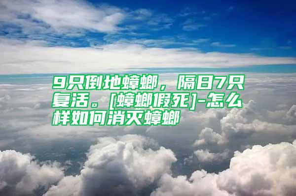 9只倒地蟑螂，隔日7只復活。[蟑螂假死]-怎么樣如何消滅蟑螂