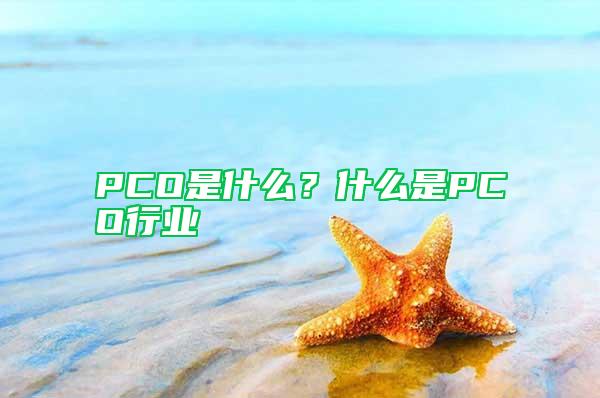PCO是什么？什么是PCO行業