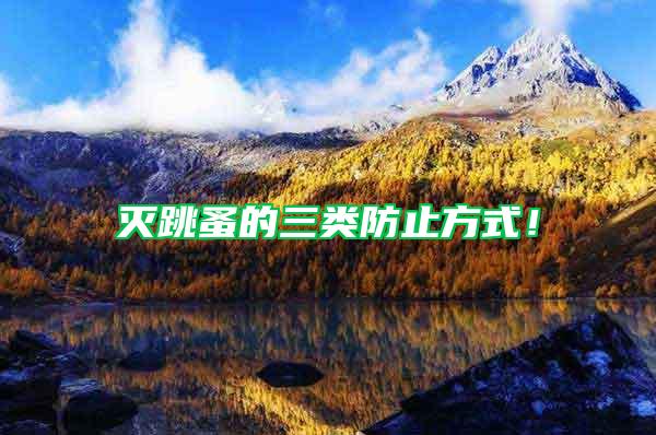 滅跳蚤的三類防止方式！