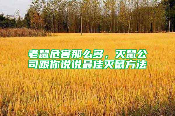 老鼠危害那么多，滅鼠公司跟你說(shuō)說(shuō)最佳滅鼠方法
