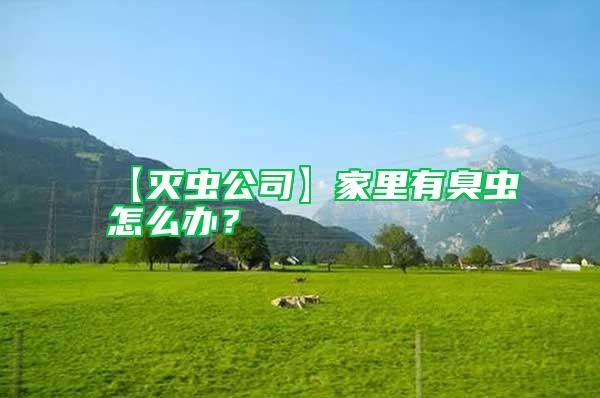 【滅蟲公司】家里有臭蟲怎么辦？