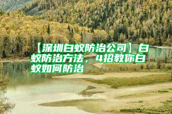 【深圳白蟻防治公司】白蟻防治方法，4招教你白蟻如何防治