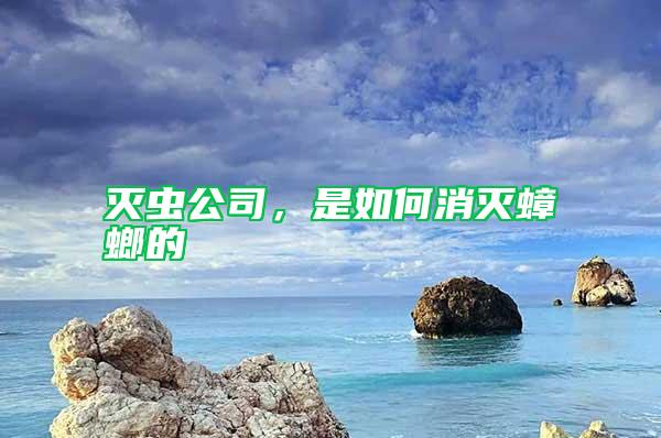 滅蟲公司，是如何消滅蟑螂的