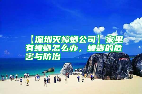 【深圳滅蟑螂公司】家里有蟑螂怎么辦，蟑螂的危害與防治