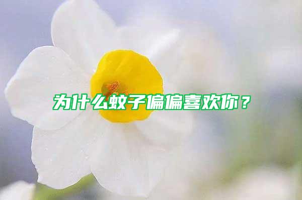 為什么蚊子偏偏喜歡你？