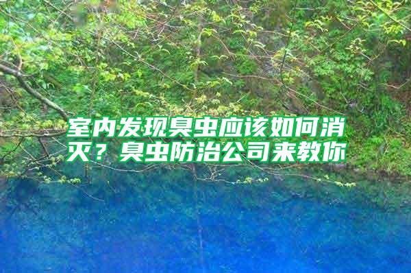 室內發現臭蟲應該如何消滅？臭蟲防治公司來教你