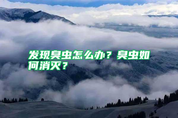 發(fā)現(xiàn)臭蟲怎么辦？臭蟲如何消滅？
