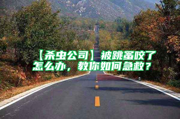 【殺蟲(chóng)公司】被跳蚤咬了怎么辦，教你如何急救？