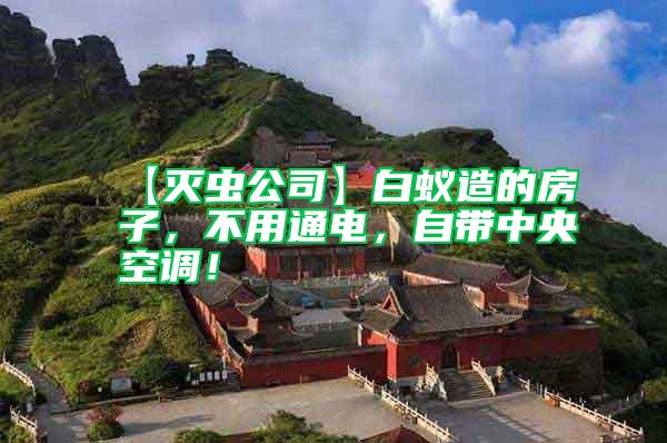 【滅蟲公司】白蟻造的房子，不用通電，自帶中央空調(diào)！
