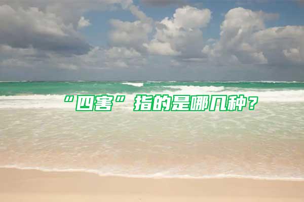 “四害”指的是哪幾種？