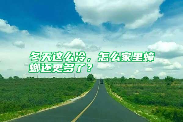 冬天這么冷，怎么家里蟑螂還更多了？