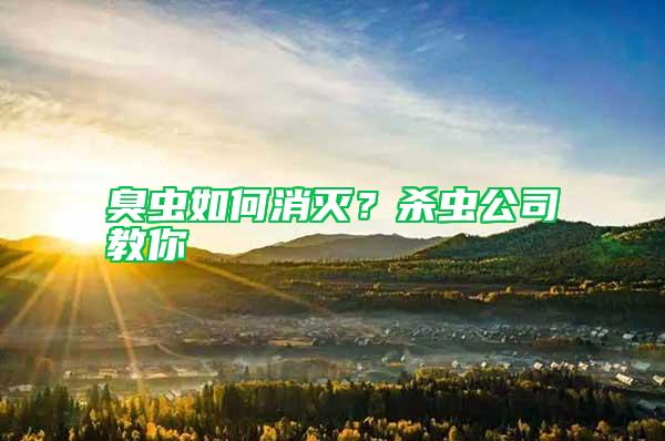 臭蟲如何消滅？殺蟲公司教你