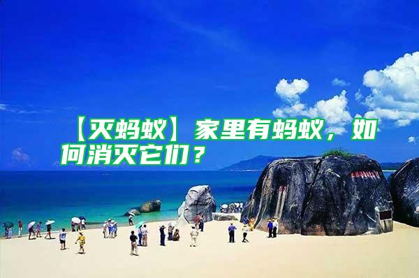 【滅螞蟻】家里有螞蟻，如何消滅它們？