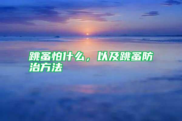 跳蚤怕什么，以及跳蚤防治方法