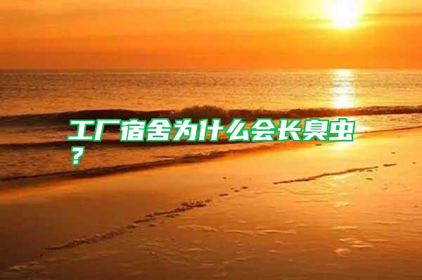 工廠宿舍為什么會(huì)長(zhǎng)臭蟲(chóng)？