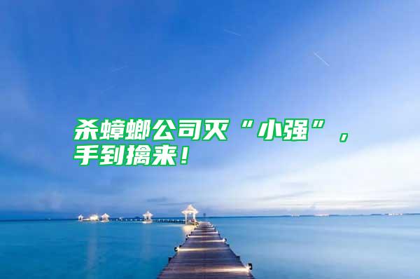 殺蟑螂公司滅“小強”，手到擒來！