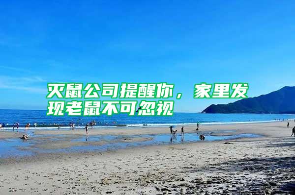 滅鼠公司提醒你，家里發現老鼠不可忽視