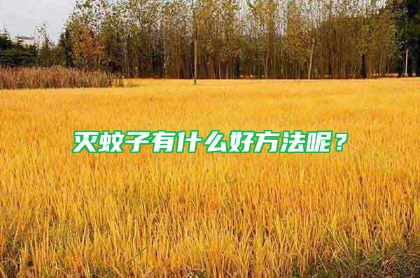 滅蚊子有什么好方法呢？