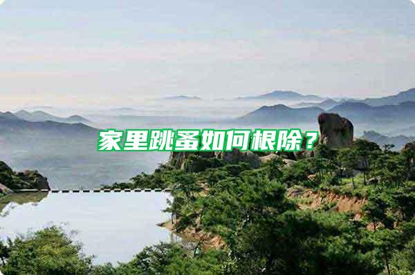 家里跳蚤如何根除？