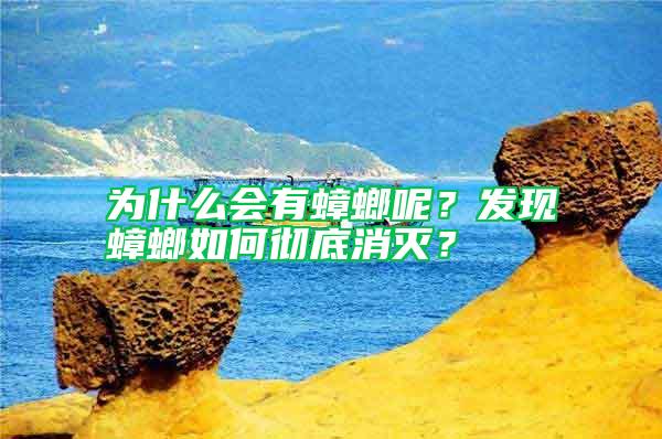 為什么會(huì)有蟑螂呢？發(fā)現(xiàn)蟑螂如何徹底消滅？