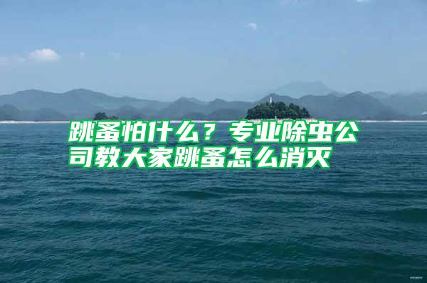 跳蚤怕什么？專業(yè)除蟲公司教大家跳蚤怎么消滅