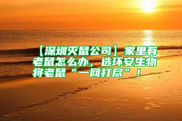 【深圳滅鼠公司】家里有老鼠怎么辦,選環(huán)安生物將老鼠“一網(wǎng)打盡”!