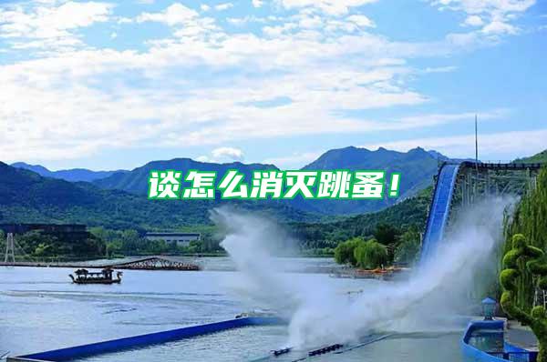 談怎么消滅跳蚤！