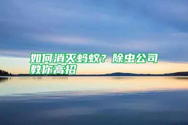 如何消滅螞蟻？除蟲公司教你高招