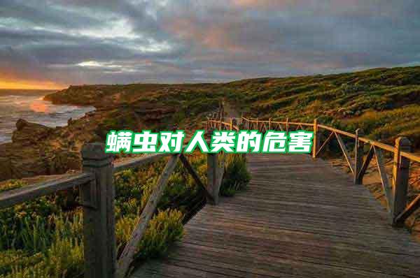 螨蟲(chóng)對(duì)人類(lèi)的危害